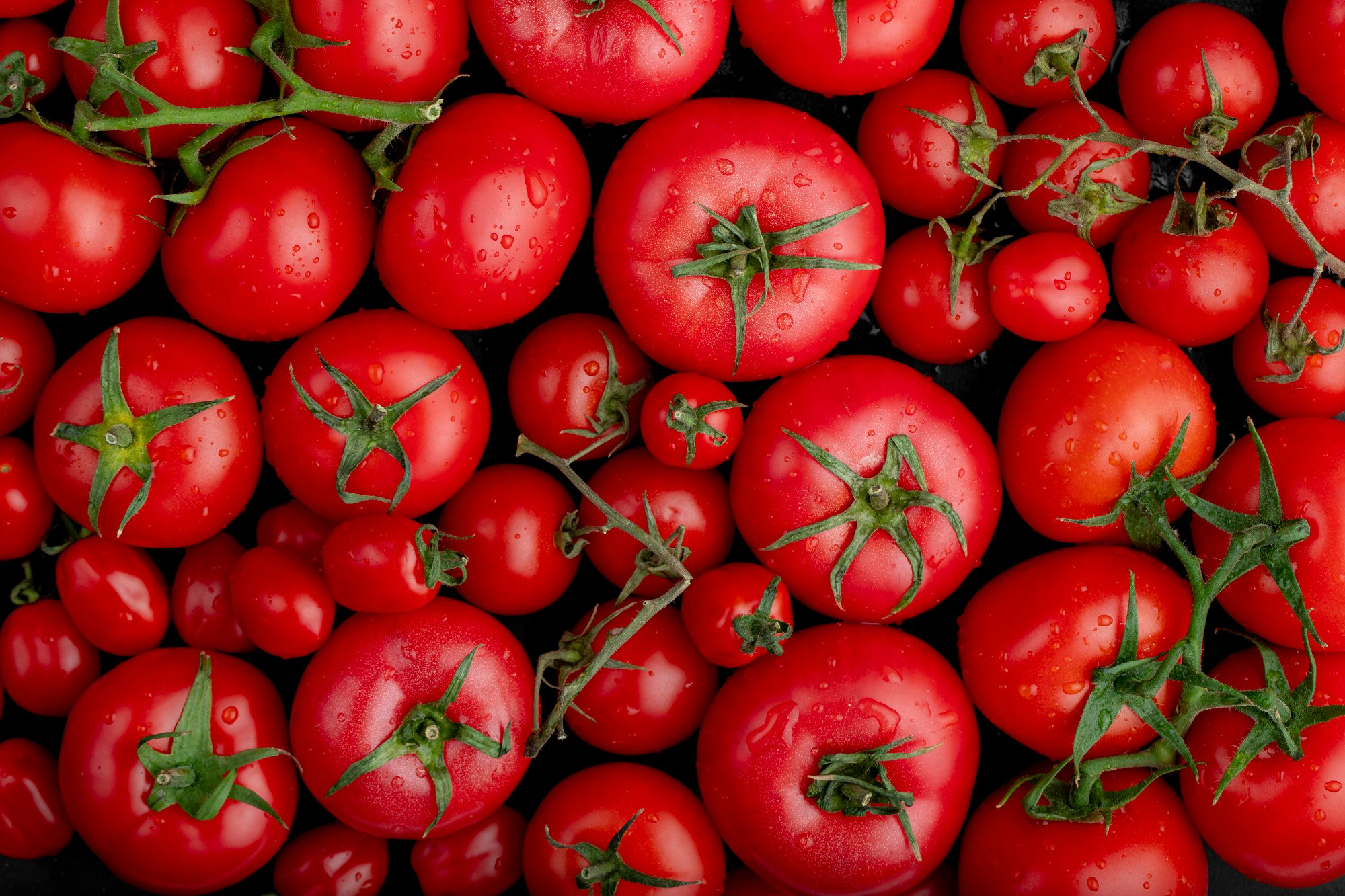 Het Geheim voor Krachtige en Sappige Tomaten: Een Goedkoop 'Essentieel' Product