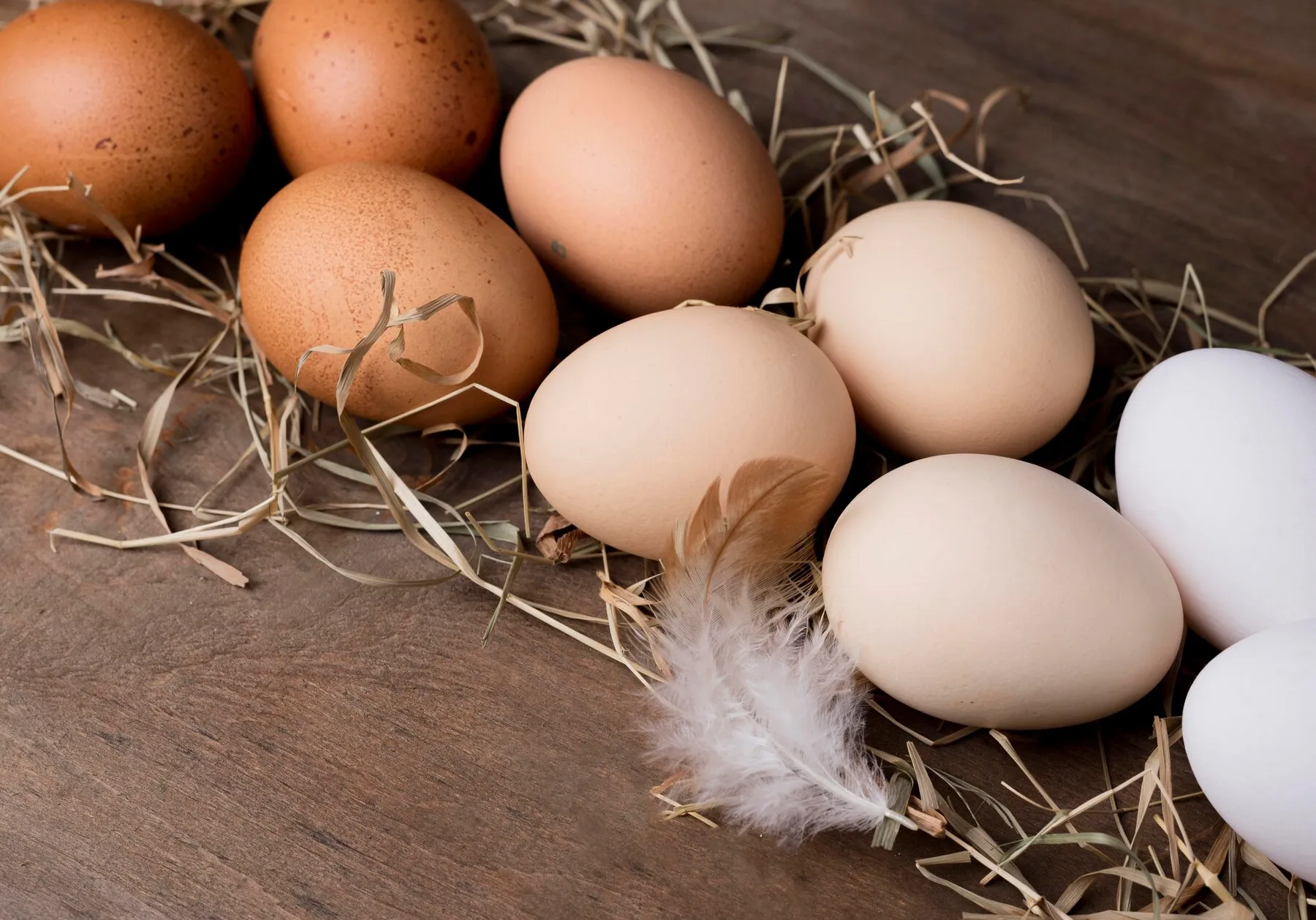 Regels voor het bewaren van kippeneieren: wat elke huisvrouw moet weten