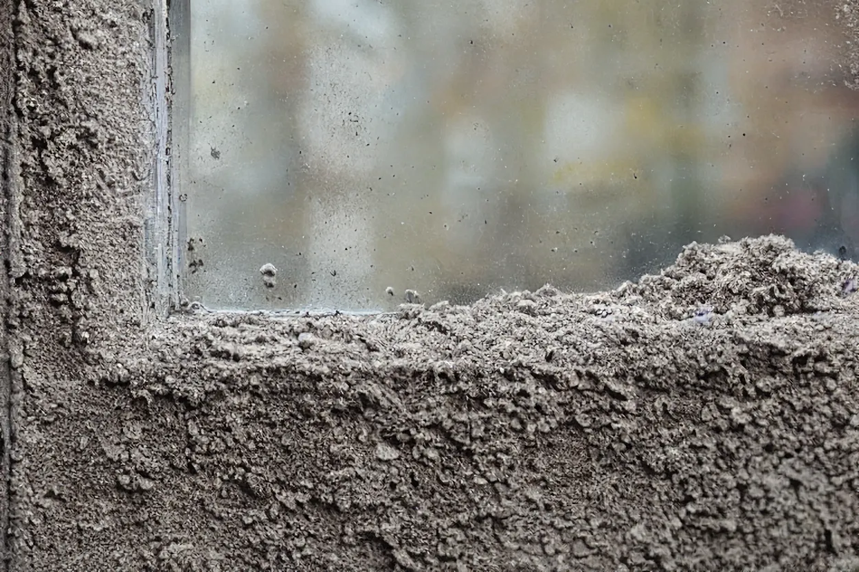 Schoonmaaktips om schimmel en vuil van ramen te verwijderen