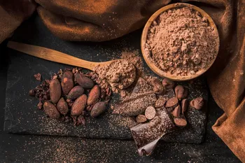 Cacaopoeder met een geheim zoetmiddel: gebruik in plaats van suiker natuurlijke gedroogde vruchten
