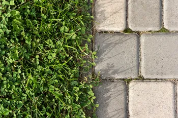Hoe verwijder je onkruid tussen straatstenen op tuinpaden?